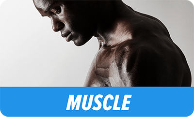 SnackBeast - Muscle Beast - Medium - 1 Month