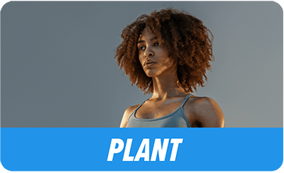 SnackBeast - Plant Beast - Small - 1 Month