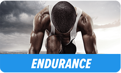 SnackBeast - Endurance Beast - Large - 9 Month
