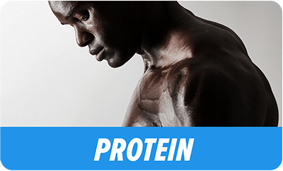 SnackBeast - Protein Beast - Large - 9 Month