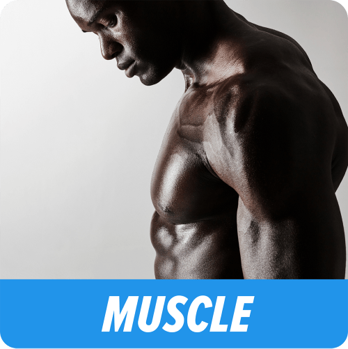 SnackBeast - Muscle Beast - Small - 3 Month